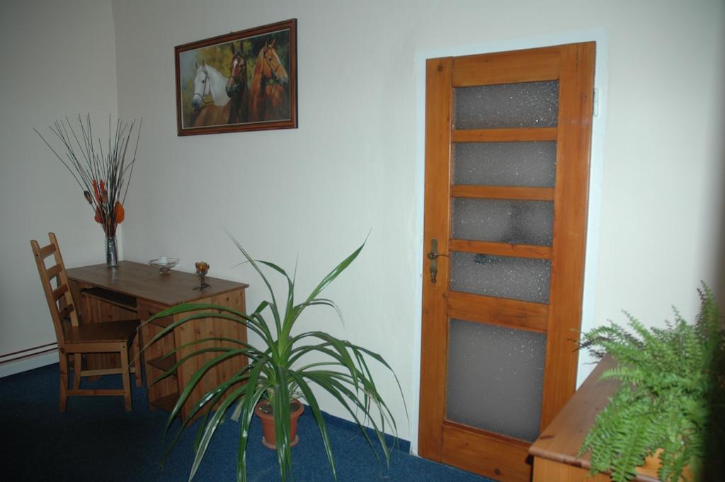 Hotel Mrazek Pardubice Værelse billede